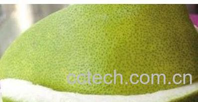 果蔬百科柚子皮的多种功效与作用-0