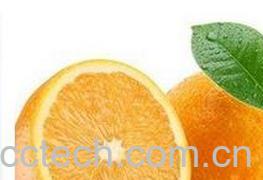 果蔬百科 橙子的功效与作用 -0