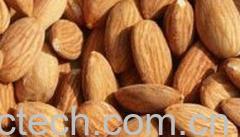 果蔬百科杏仁-0