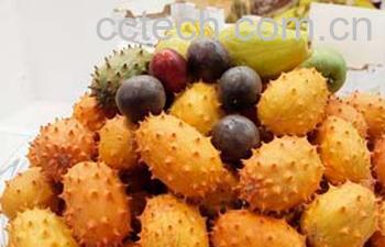 果蔬百科火参果怎么吃 火参果的营养价值-0