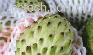 果蔬百科蛇皮果图片 蛇皮果的营养价值-0