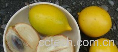 果蔬百科什么是黄晶果 黄晶果营价值和吃法-0