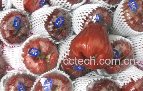 果蔬百科莲雾的功效与作用 莲雾的营养价值-0