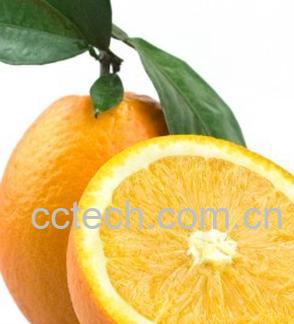 果蔬百科橙子的营养价值有哪些-0