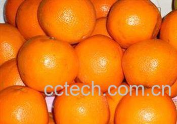果蔬百科橘子都有哪些健康的吃法？-0
