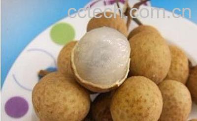 果蔬百科龙眼肉-0