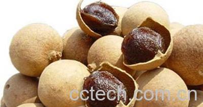 果蔬百科龙眼肉怎么吃呢-0