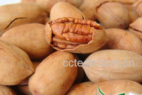 果蔬百科山核桃的营养价值-0