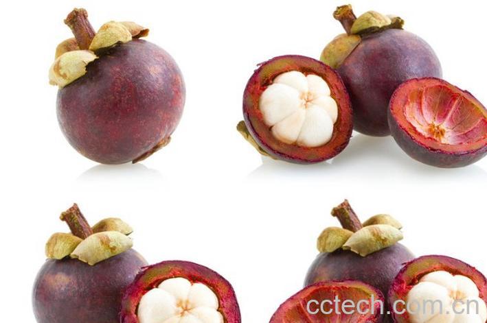 果蔬百科山竹的功效与作用-0