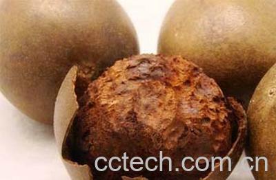 果蔬百科罗汉果的功效与作用 -0