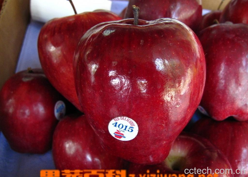 果蔬百科五蛇果的药用价值-0