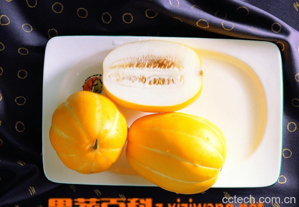 果蔬百科香瓜的挑选-0