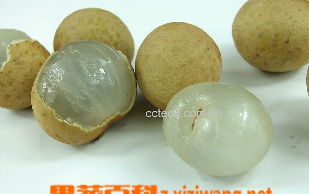 果蔬百科龙眼在世界的分布-0