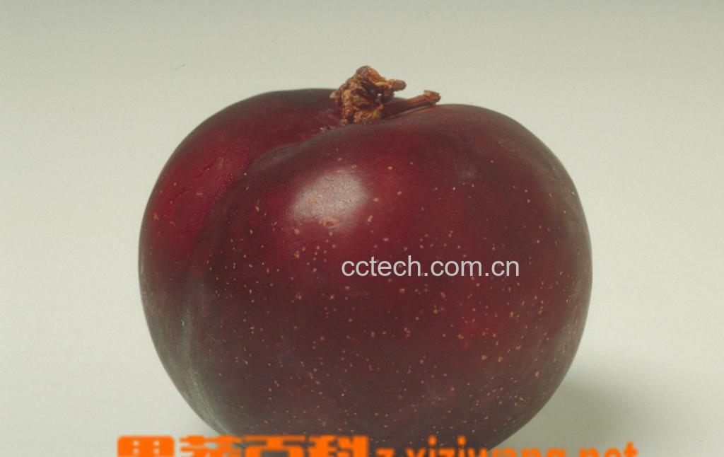 果蔬百科黑布林的营养-0