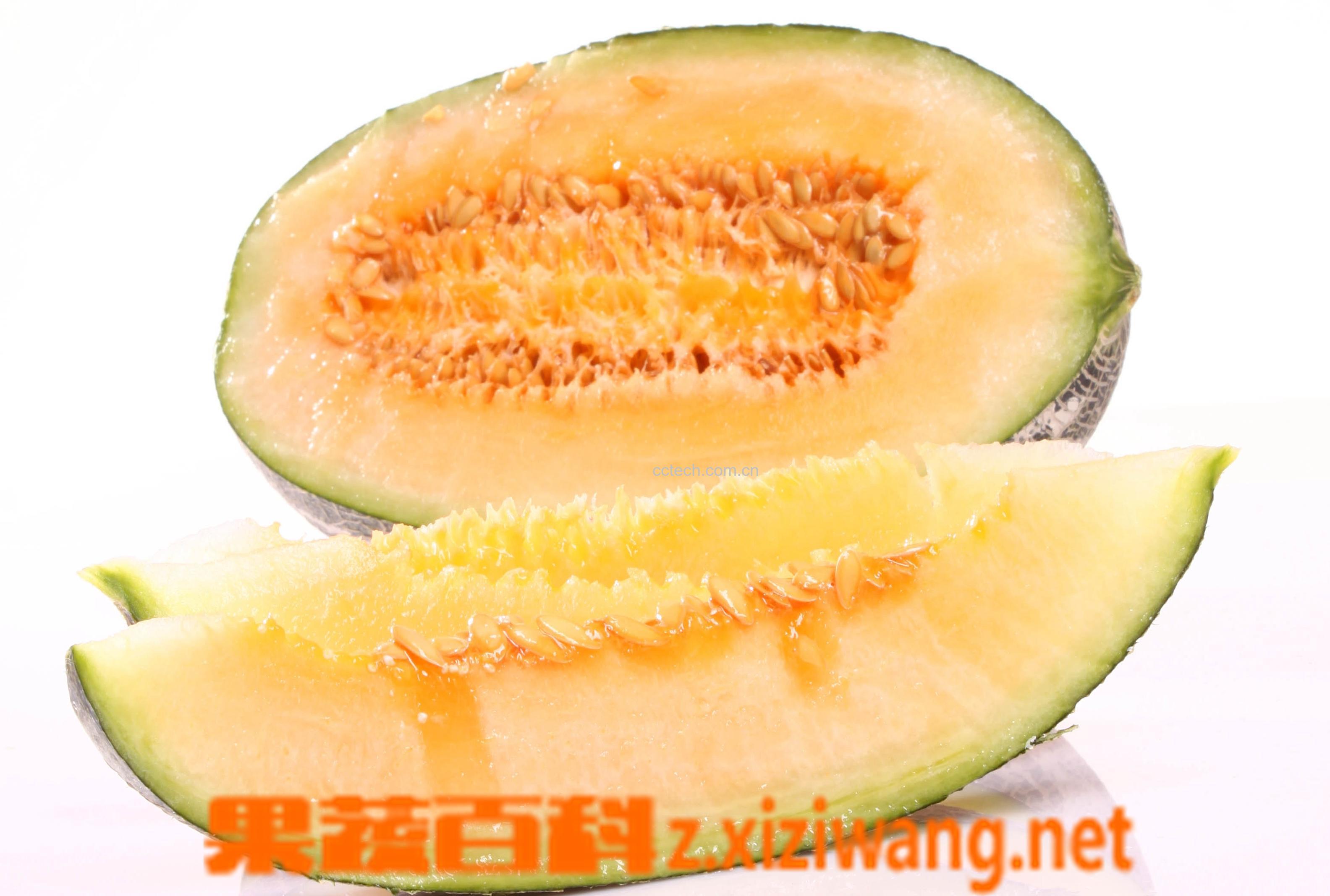 果蔬百科西州蜜瓜的作用和功效-0
