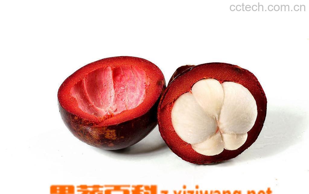 果蔬百科山竹怎样种植和管理-0