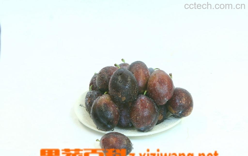 果蔬百科新鲜西梅孕妇可以吃吗-0