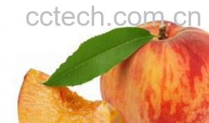 果蔬百科水蜜桃-0