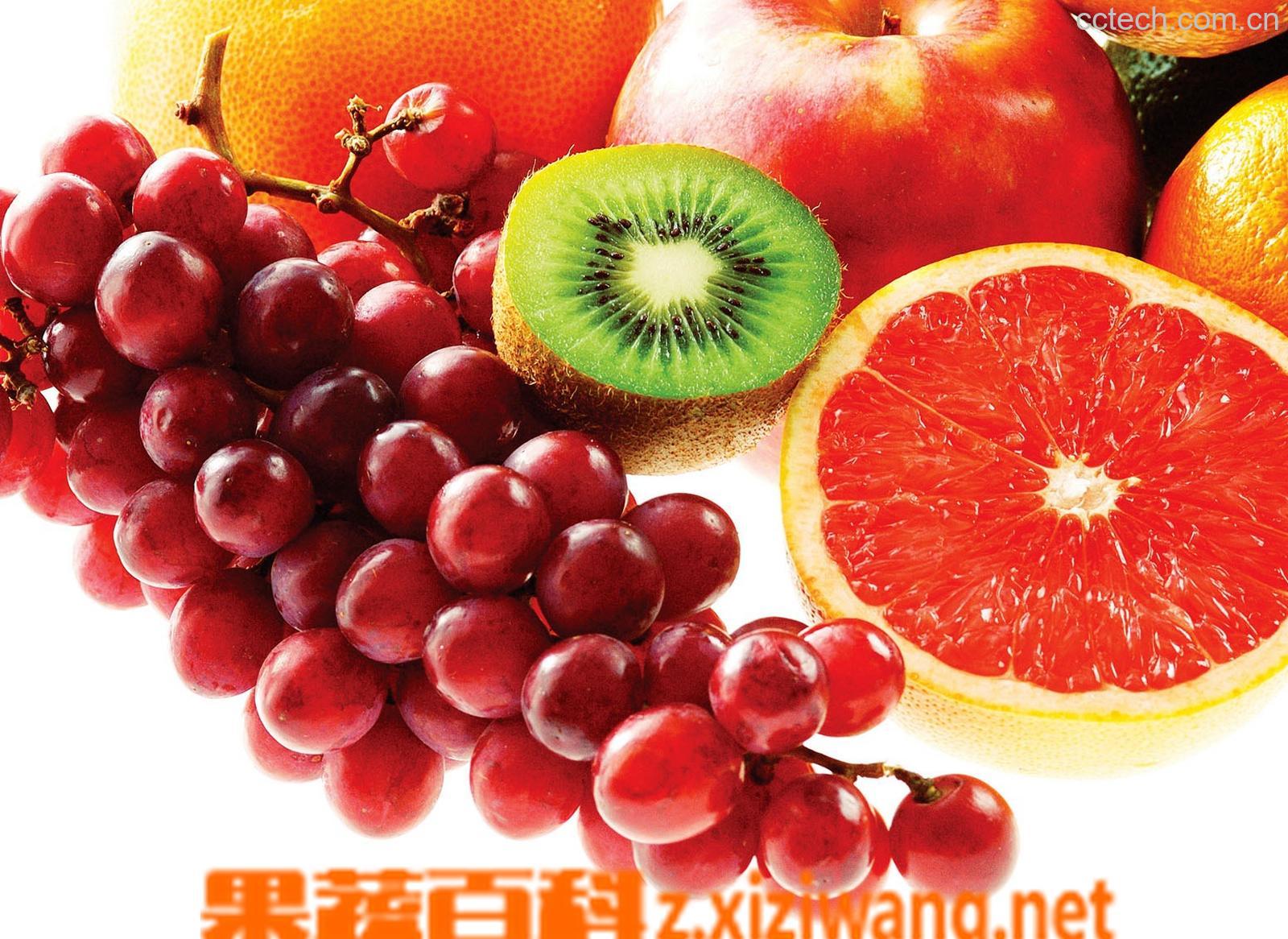 果蔬百科最新水果图片-0