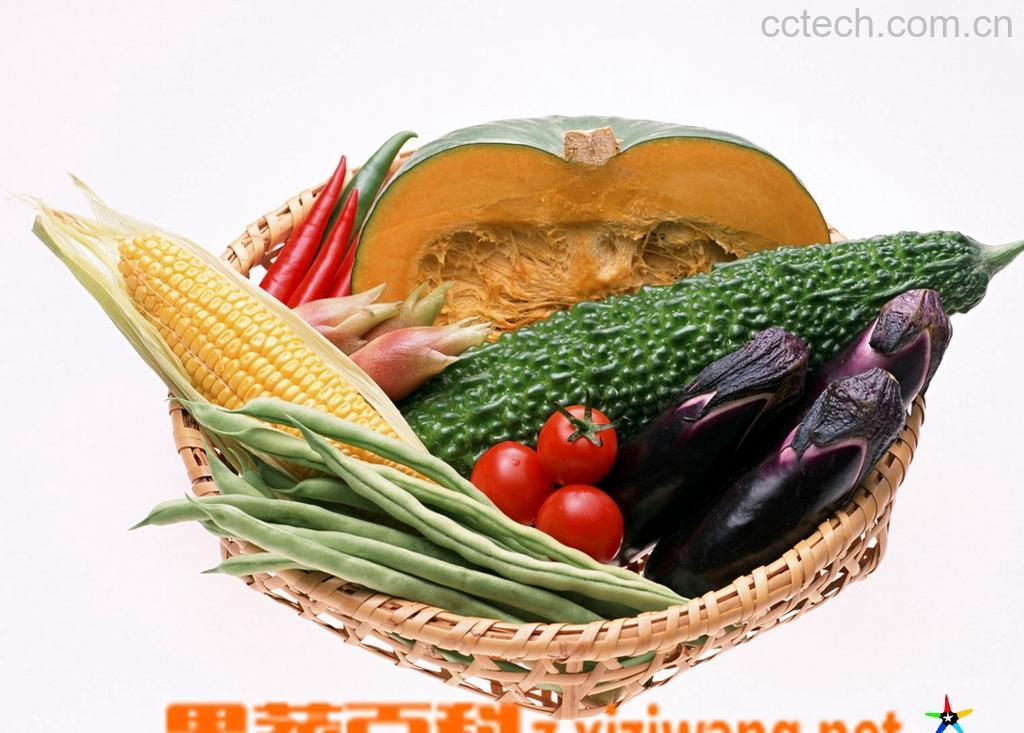 果蔬百科蔬菜水果介绍-0