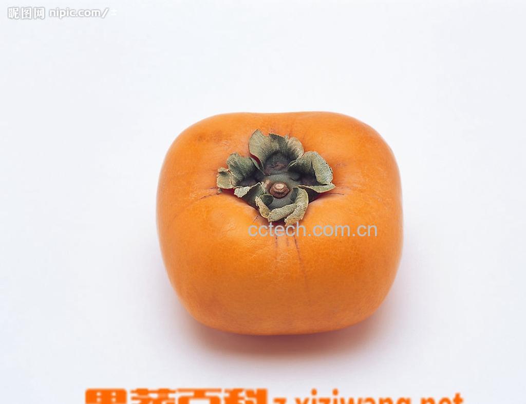 果蔬百科柿子什么时候吃-0