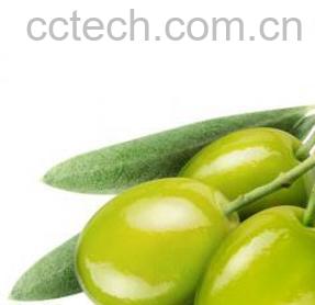 果蔬百科橄榄-0