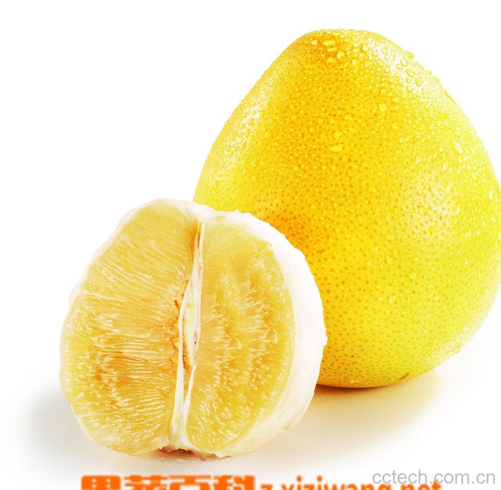 果蔬百科柚子下火吗-0