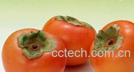 果蔬百科柿子种类图片-0