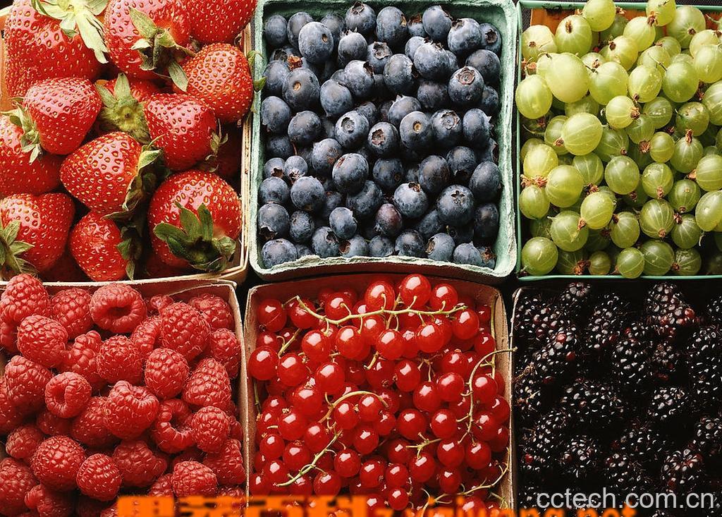 果蔬百科水果的种类以及作用-0