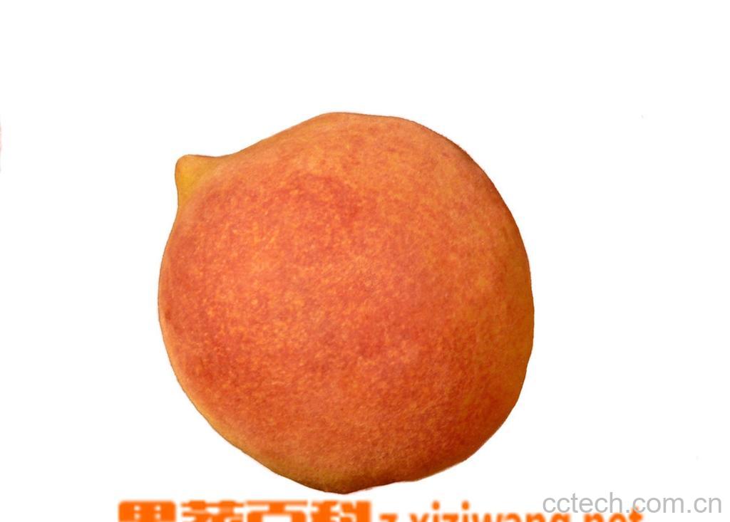 果蔬百科孕妇能吃黄桃吗-0