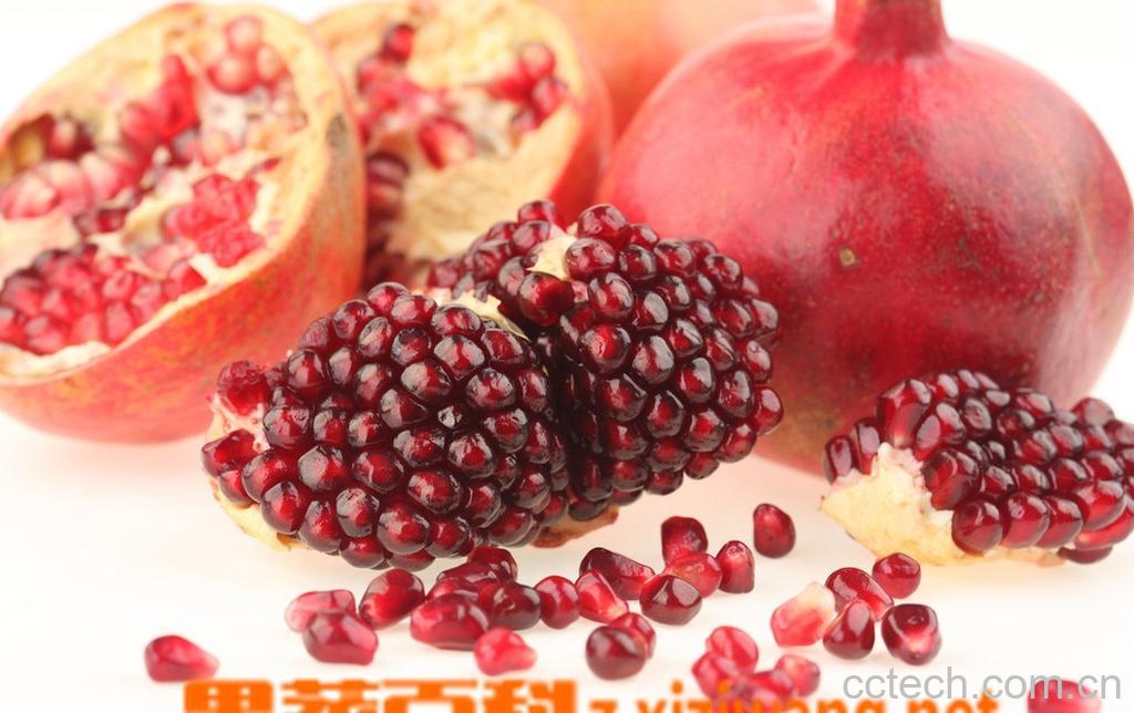 果蔬百科石榴籽-0