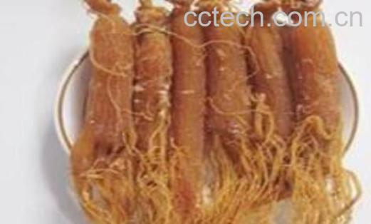 高丽参和西洋参的区别-0