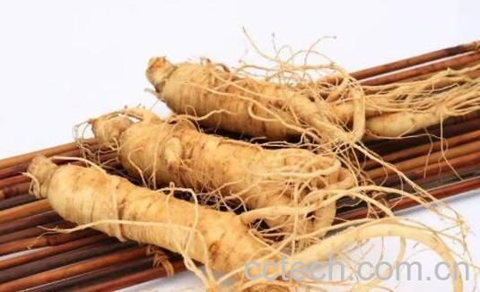 人参和红参的区别 -1