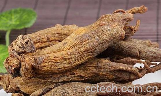 高丽参怎么吃效果最好-0