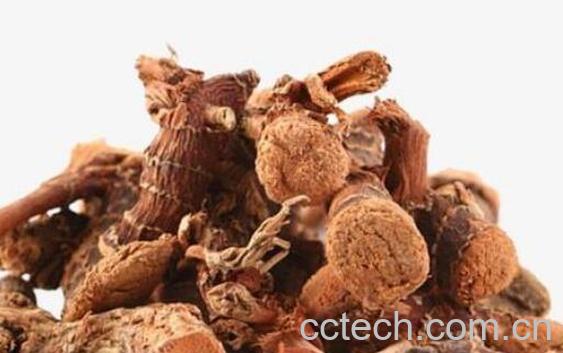 高良姜的功效与作用及禁忌-0