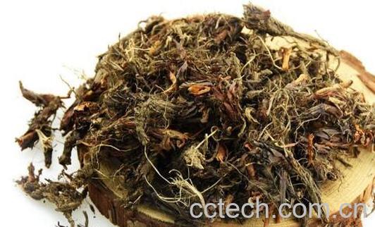 甘松的功效与作用 甘松的食用方法-0