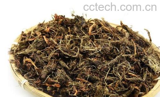 甘松的功效与作用 甘松的食用方法-1