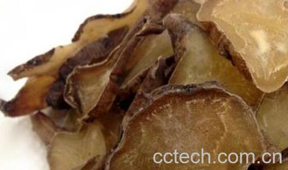 炮附子的功效与作用-0