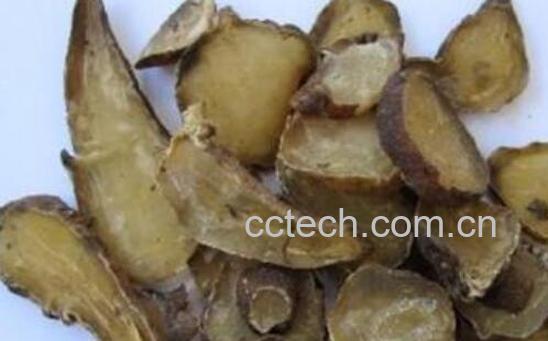 熟附子的功效与作用及副作用-0