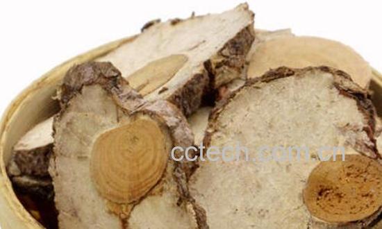 茯神的功效与作用 茯神的药用价值-0