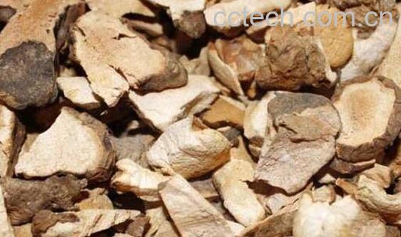 土茯苓与茯苓的区别-0