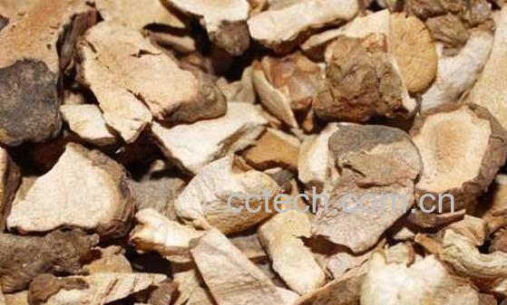 茯苓皮的功效与作用及服用方法-0