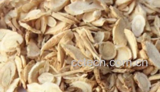 茯苓皮的功效与作用及服用方法-1