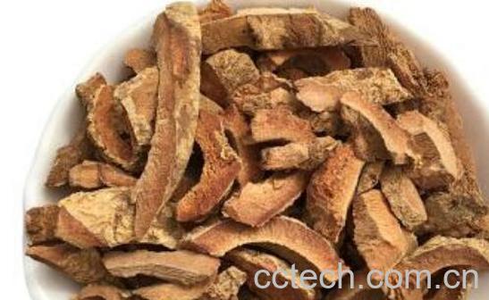 土荆皮的功效与副作用-0