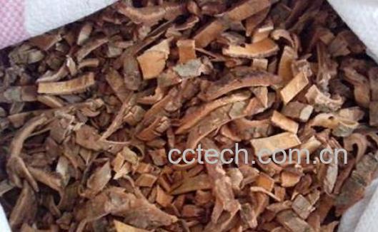 土荆皮的功效与副作用-1