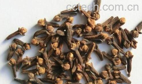 丁香的功效与作用及禁忌-1