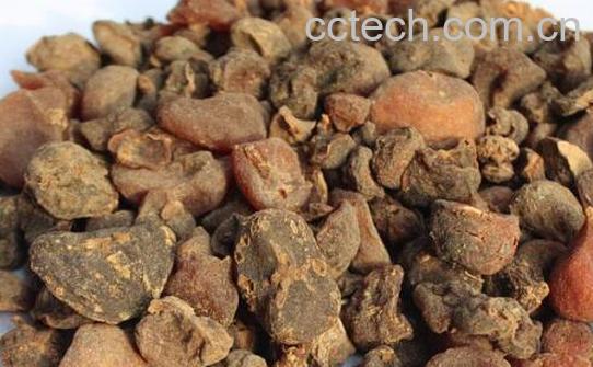 土贝母的功效的与作用 土贝母的副作用-1