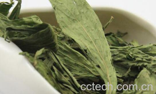 甜叶菊的功效的与作用 甜叶菊的副作用-1