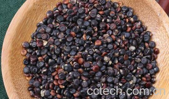 水红花子的功效的与作用 水红花子的副作用-0