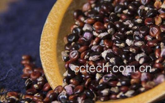 水红花子的功效的与作用 水红花子的副作用-1